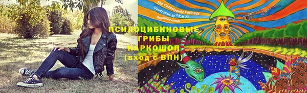марки nbome Ельня