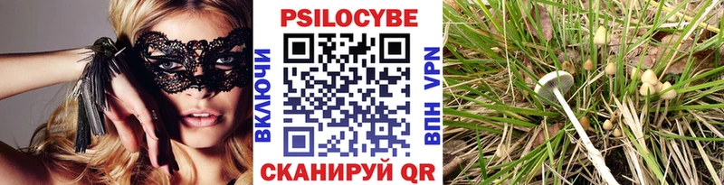 Псилоцибиновые грибы Psilocybine cubensis  Славянск-на-Кубани 