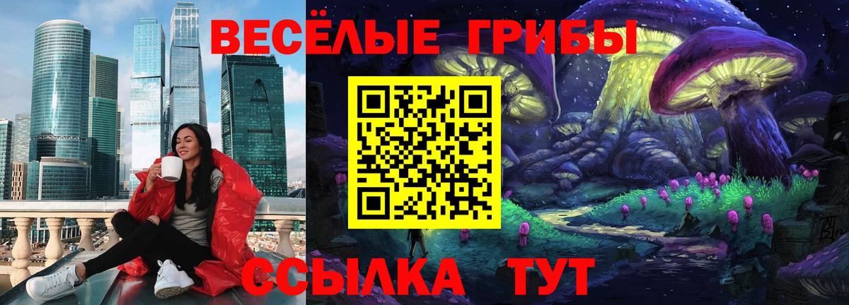 Славянск-на-Кубани  COCAIN  Продажа наркотиков  МЕТ  НБОМе  Гашиш  МАРИХУАНА  АМФЕТАМИН кристаллы  Мефедрон кристаллы  МЕФ кристаллы 