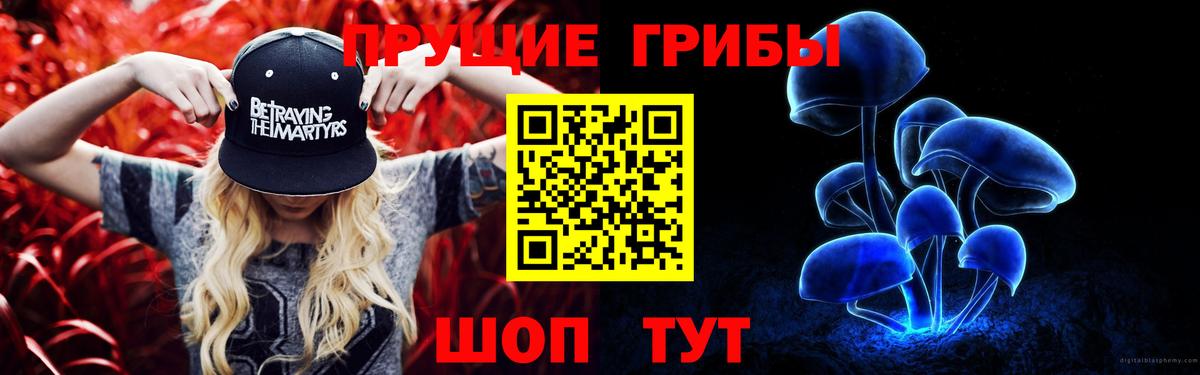 Псилоцибиновые грибы Cubensis Славянск-на-Кубани